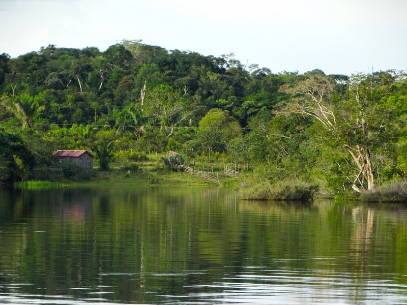 Amazon Rainforest, Brazil